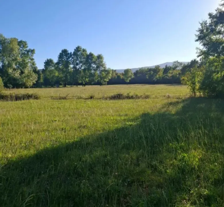 Prodaja, plac, 2881m², Begovina, Danilovgrad