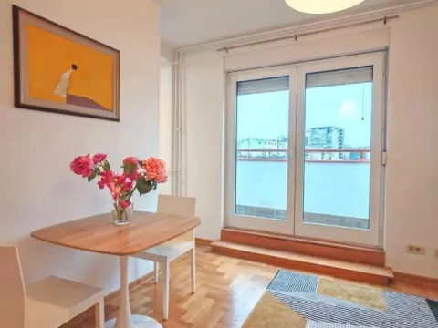 Izdavanje, jednosoban stan, 35m², Stari Grad, Beograd - image 3