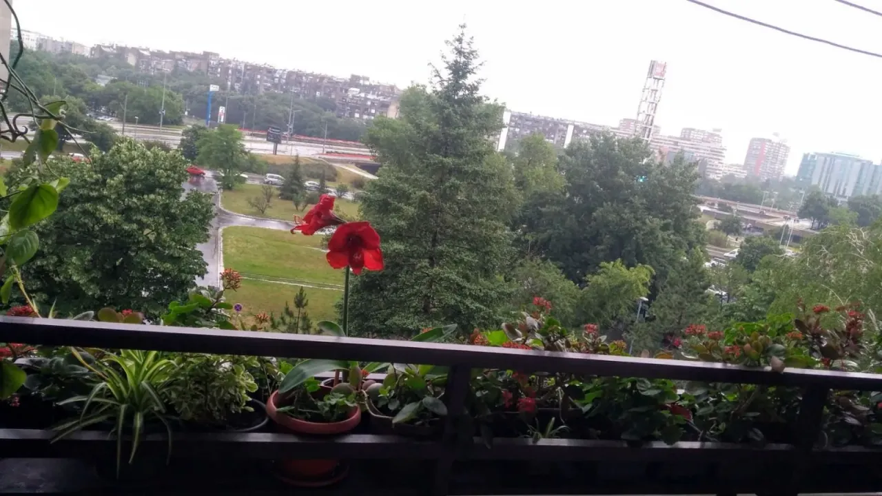 Prodaja, četvorosoban stan, 96m², Novi Beograd Blok 19, Novi Beograd Sve Podlokacije