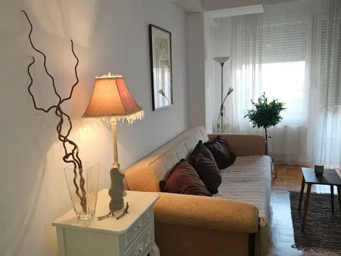 Izdavanje, jednosoban stan, 42m², Centar, Niš - image 5