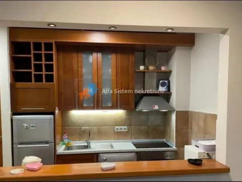 Izdavanje, dvosoban stan, 50m², Vračar Sve Podlokacije, Beograd - image 6