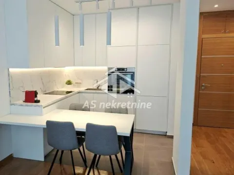 Izdavanje, dvosoban stan, 55m², Tašmajdan, Palilula Sve Podlokacije - image 4