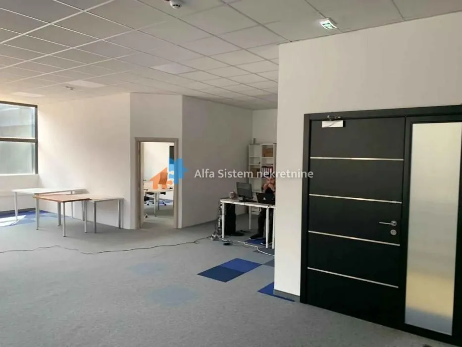 Izdavanje, poslovni prostor, 230m², Novi Beograd Sve Podlokacije, Beograd