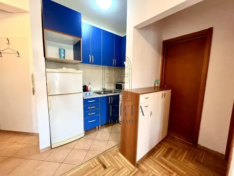 Izdavanje, jednosoban stan, 37m², Stari Aerodrom, Podgorica - image 5