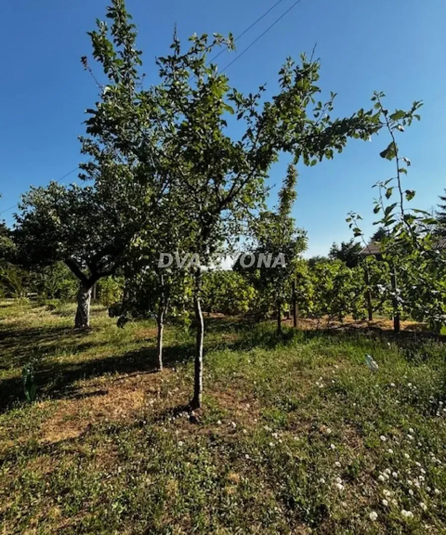 Prodaja, kuća, 18m², Čortanovci, Inđija