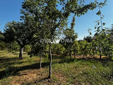 Sale, house, 18m², Čortanovci, Inđija - image 2