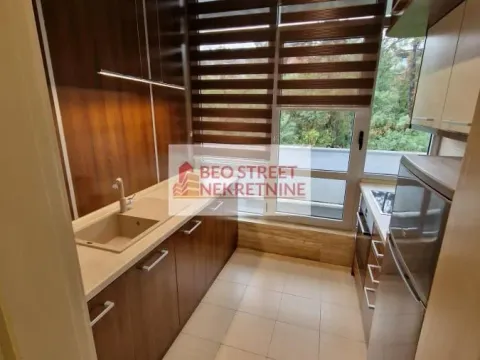 Izdavanje, dvosoban stan, 48m², Savski Venac, Beograd - image 2