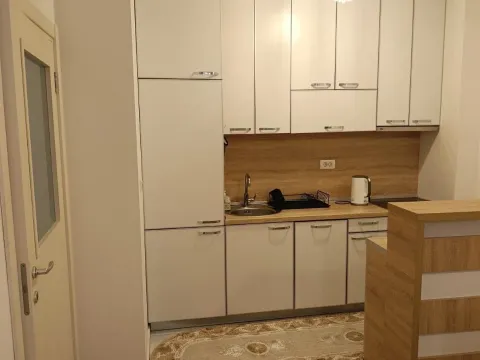 Izdavanje, jednosoban stan, 60m², Stari Aerodrom, Podgorica - image 3