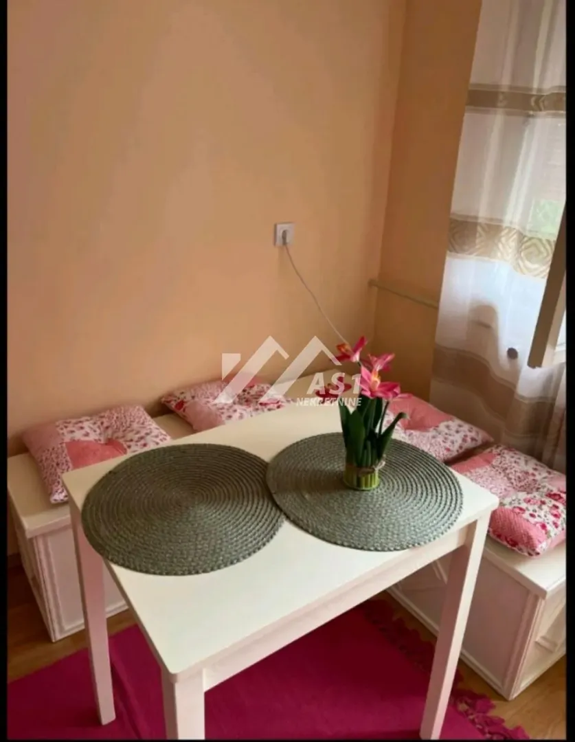 Izdavanje, jednosoban stan, 32m², Detelinara, Novi Sad Sve Podlokacije
