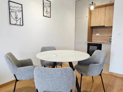 Rent, one bedroom apartment, 45m², New City, Podgorica - image 3