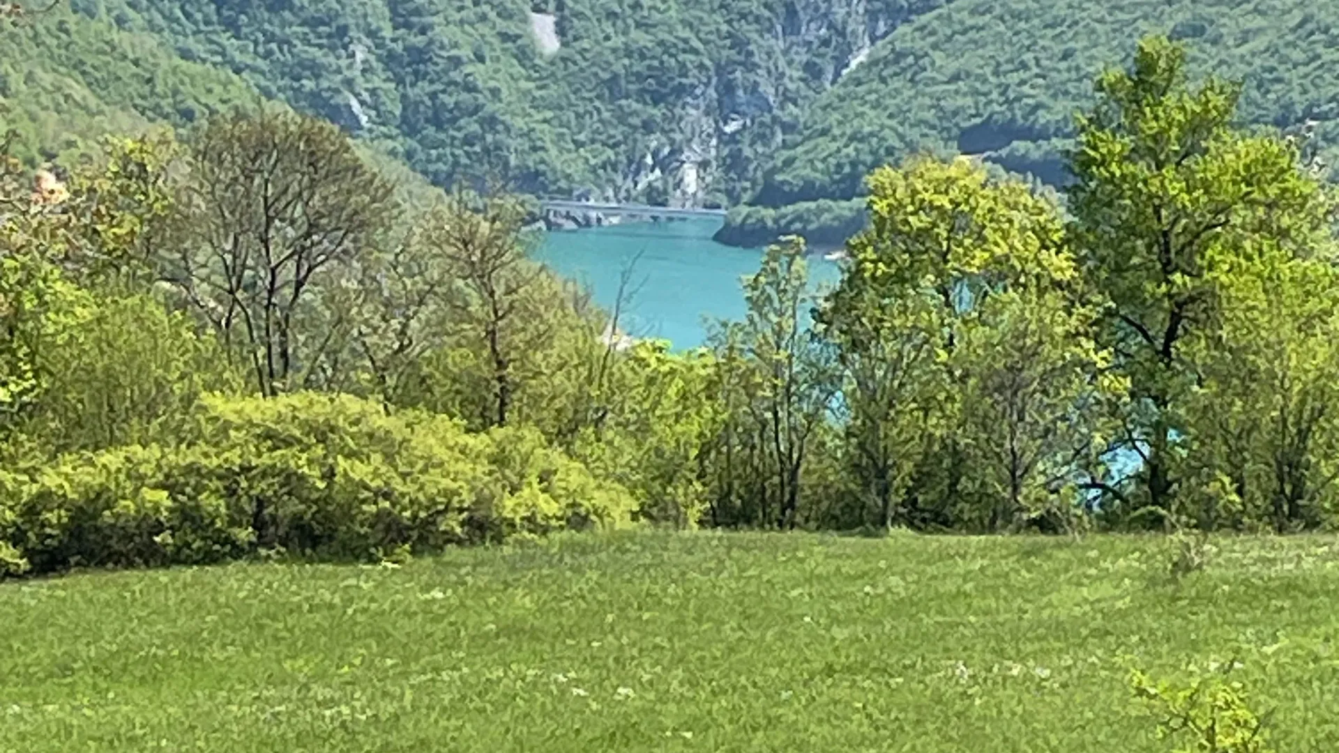 Prodaja, plac, 15000m², Donja Brezna, Plužine