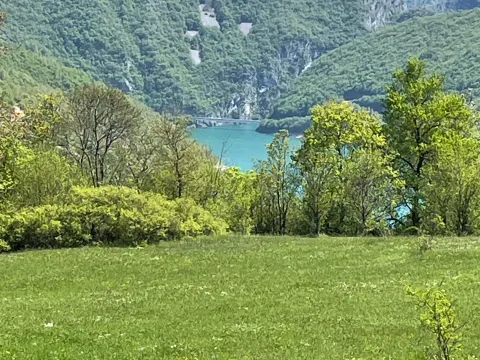 Prodaja, plac, 15000m², Donja Brezna, Plužine - image 5