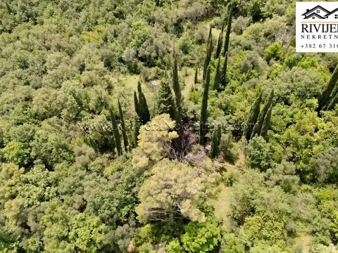 Prodaja, plac, 7325m², Mojdež, Herceg Novi - image 9