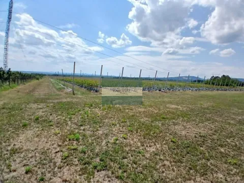 Prodaja, plac, 285100m², Medjureč, Jagodina - image 22