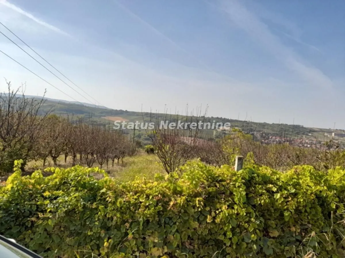 Prodaja, plac, 8000m², Sremski Karlovci, Novi Sad