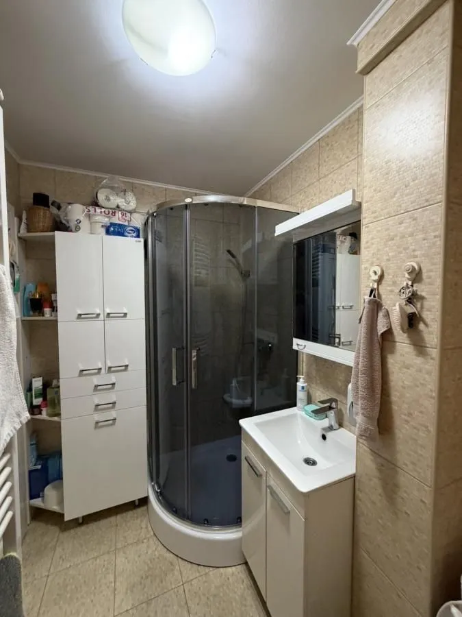 Prodaja, jednosoban stan, 47m², Detelinara, Novi Sad Sve Podlokacije