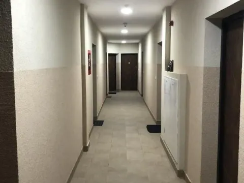 Sale, one bedroom apartment, 31m², Banjica, Voždovac Sve Podlokacije - image 13
