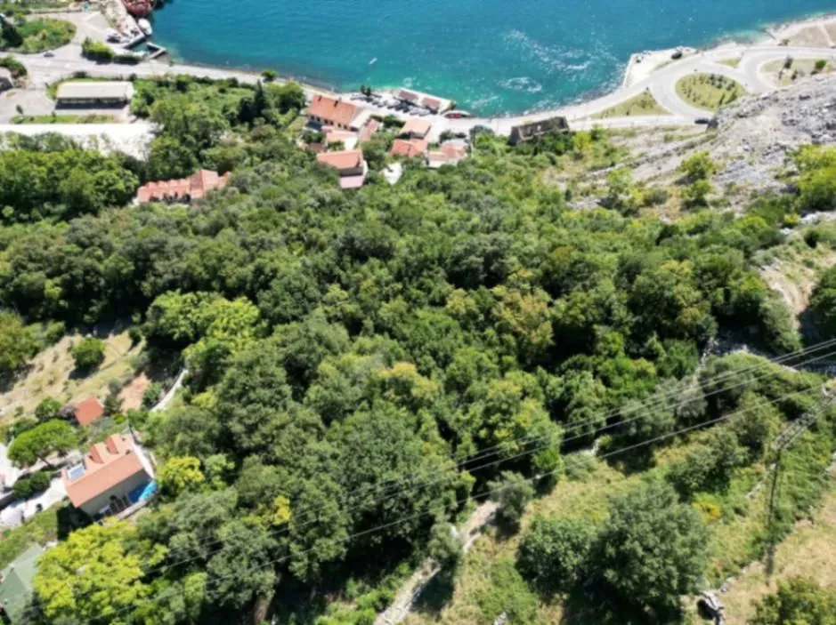 Prodaja, plac, 7000m², Lipci, Kotor