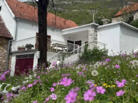Prodaja, kuća, 75m², Miločani, Nikšić - image 3