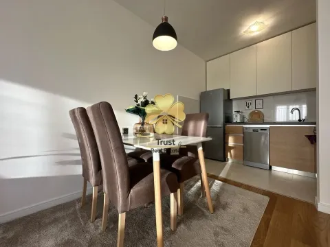 Izdavanje, jednosoban stan, 50m², Central Point, Podgorica - image 3