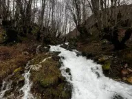 Prodaja, kuća, 28m², Kolašin, Crna Gora - image 6