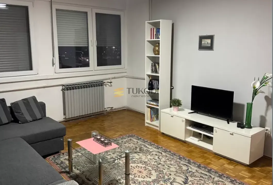 Rent, one bedroom apartment, 46m², Novi Beograd Blok 21, Novi Beograd Sve Podlokacije