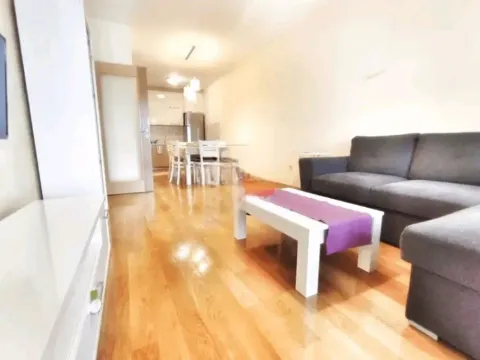 Izdavanje, jednosoban stan, 52m², Blok 6, Podgorica - image 3