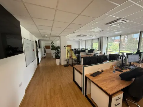 Rent, office space, 503m², Liman 3, Novi Sad Sve Podlokacije - image 1