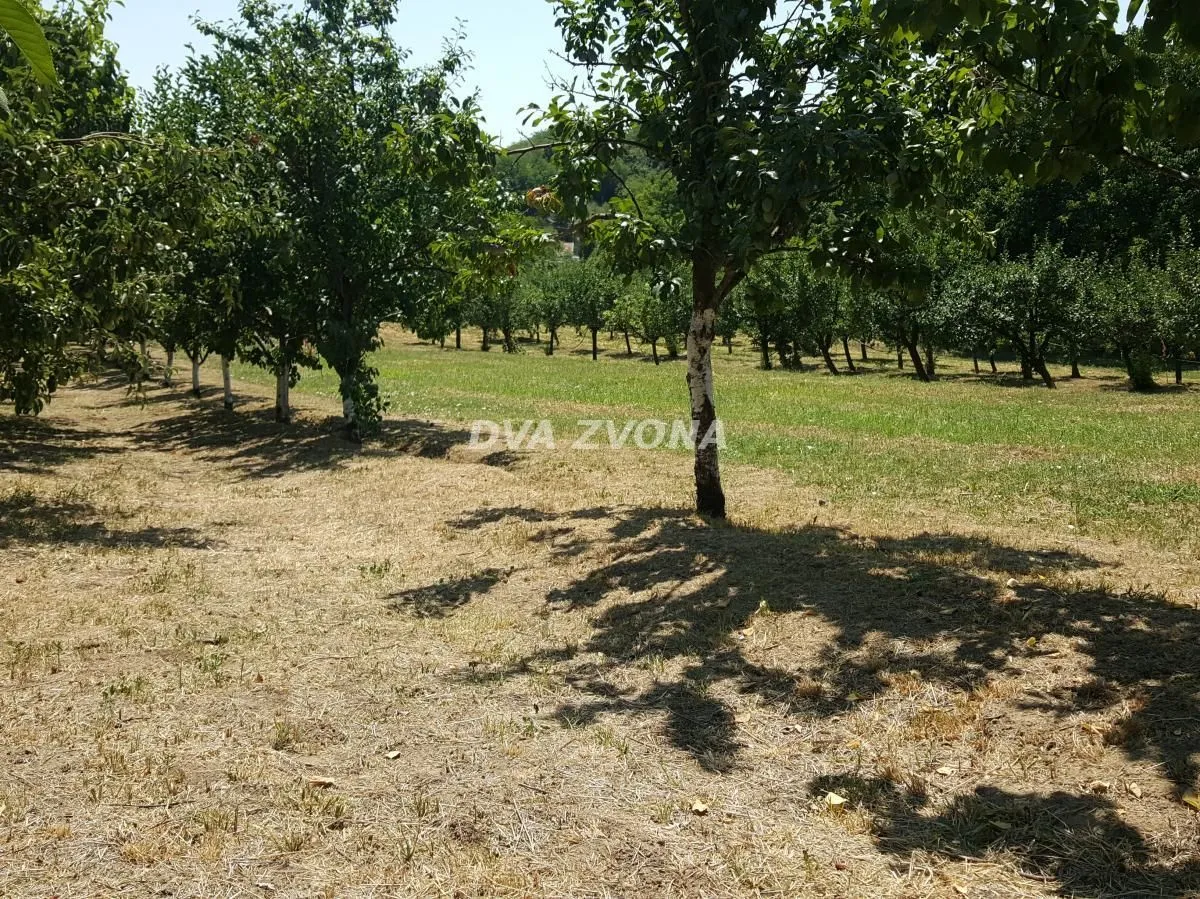 Prodaja, kuća, 65m², Čortanovci, Inđija