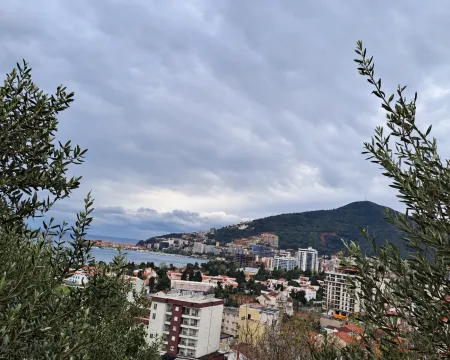 Pogled na grad, more i okolna brda kroz grane maslina. - image 5