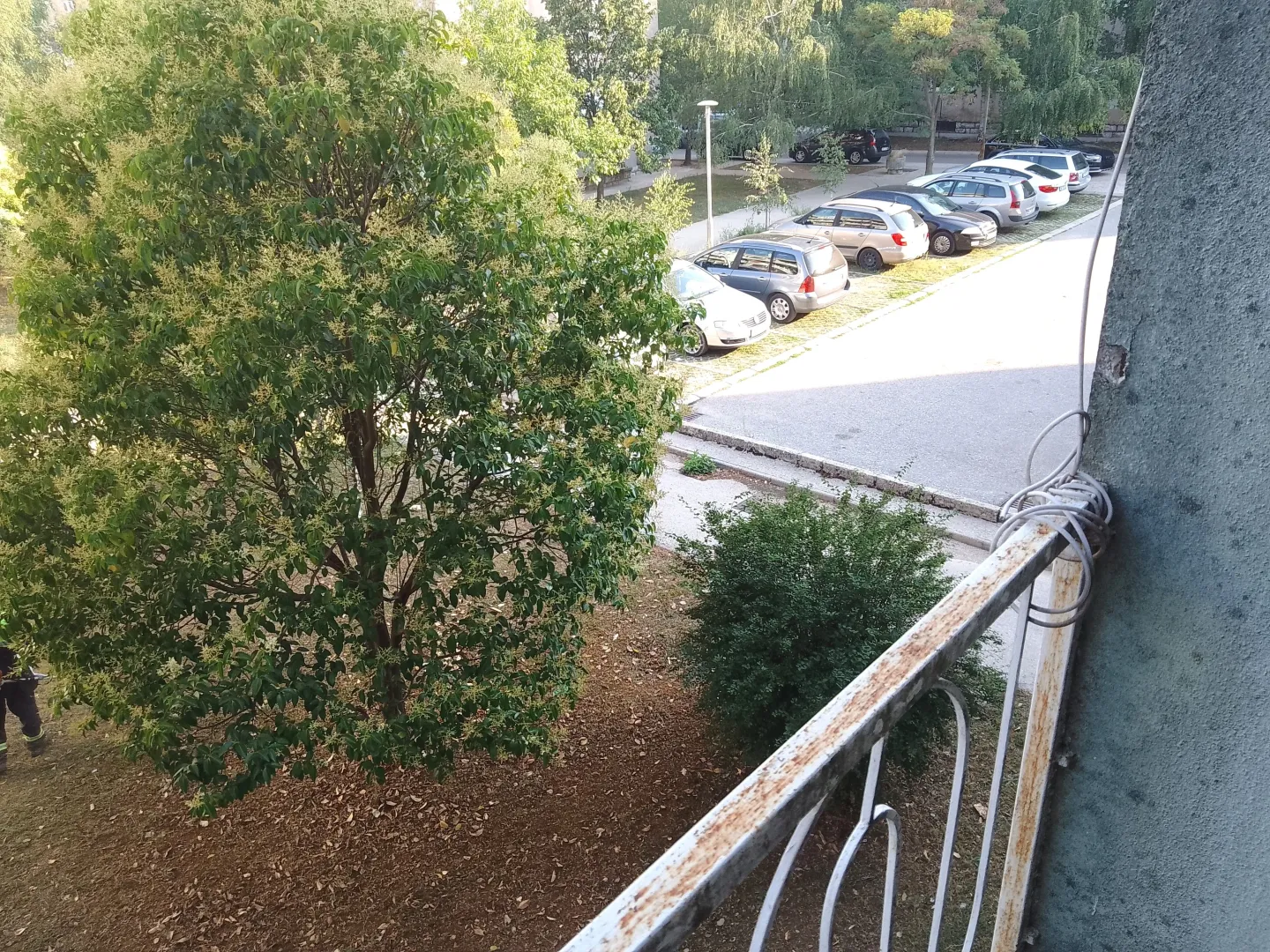 Pogled sa terase na zelenilo i parking ispred zgrade.
