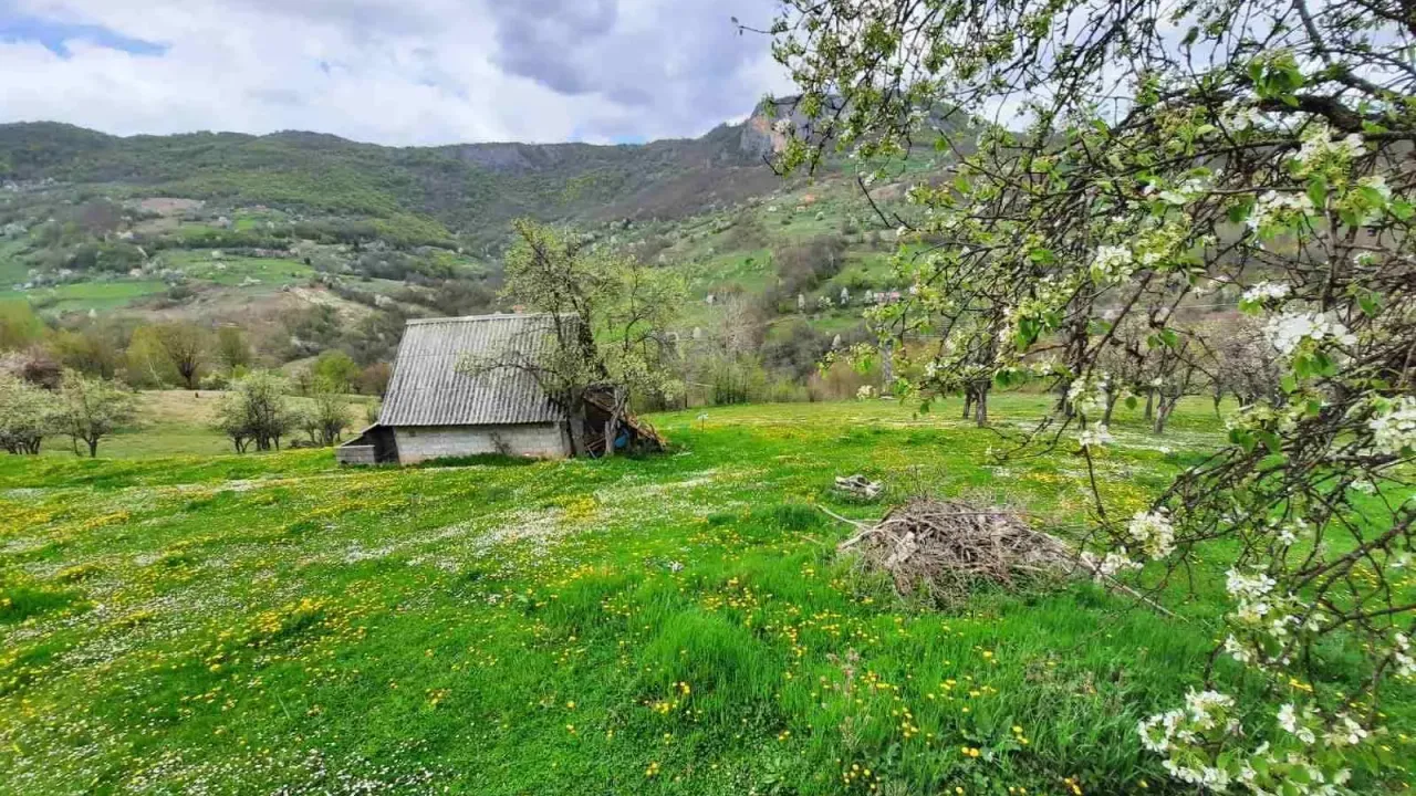 Prodaja, plac, 177419m², Bijelo Polje, Crna Gora