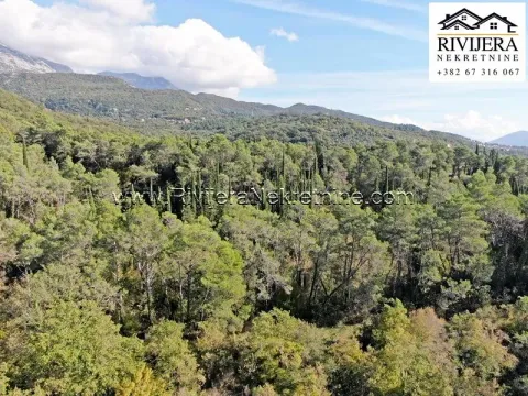 Prodaja, plac, 33385m², Sutorina, Herceg Novi - image 2