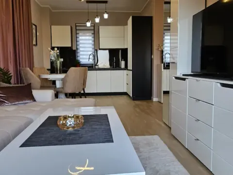 Prodaja, jednosoban stan, 45m², Dubovica, Budva - image 3