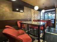 Izdavanje, poslovni prostor, 170m², Stari Aerodrom, Podgorica - image 1