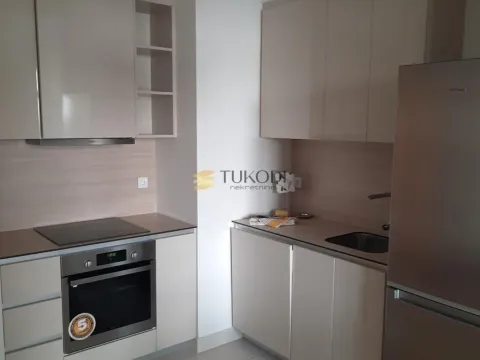 Izdavanje, dvosoban stan, 55m², Savski Venac, Beograd - image 4