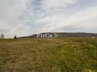 Prodaja, plac, 38000m², Gornja Brezna, Plužine - image 3