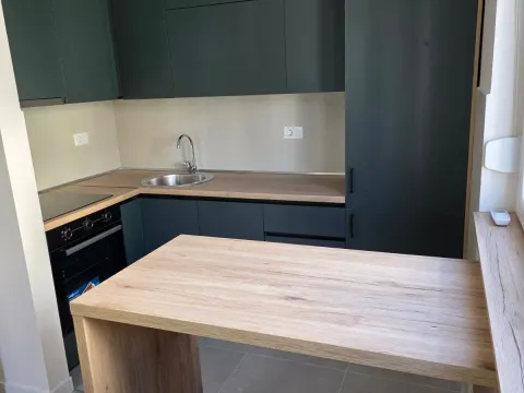 Rent, one bedroom apartment, 47m², Zabjelo, Podgorica - image 3