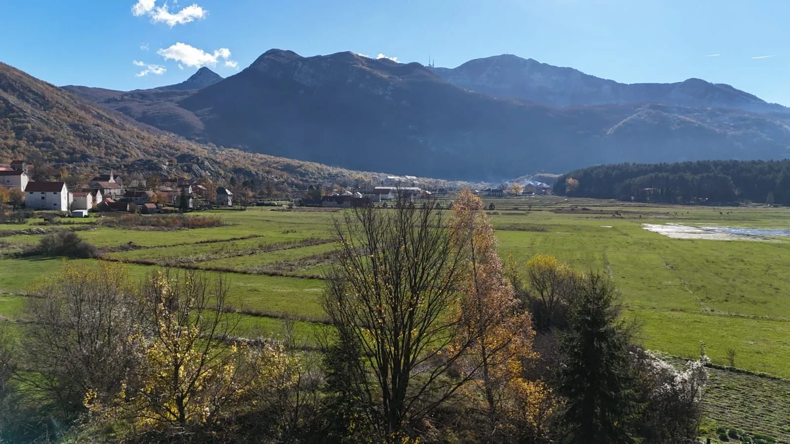 Prodaja, plac, 6000m², Njeguši, Cetinje