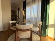 Izdavanje, jednosoban stan, 46m², Vezirov Most, Podgorica - image 2