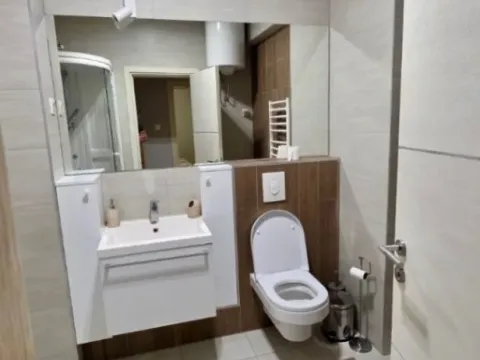 Izdavanje, jednosoban stan, 50m², Ljubović, Podgorica - image 2