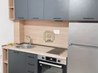 Izdavanje, jednosoban stan, 42m², Stari Aerodrom, Podgorica - image 2