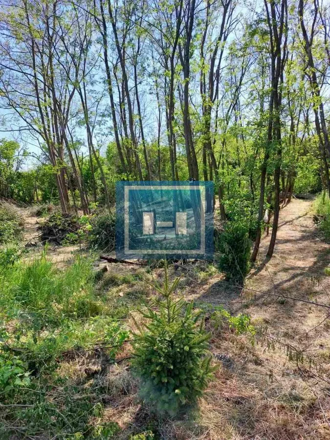 Prodaja, plac, 923m², Đurđevo brdo, Jagodina