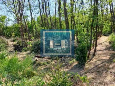 Prodaja, plac, 923m², Đurđevo brdo, Jagodina - image 3