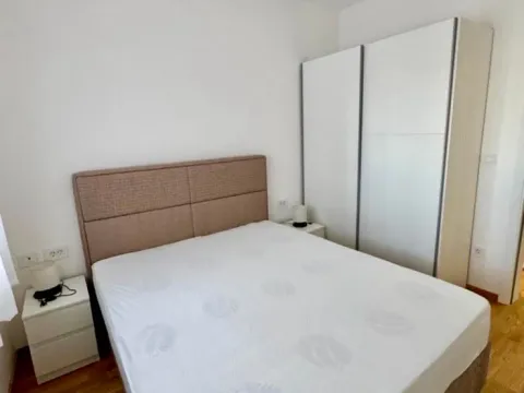 Izdavanje, jednosoban stan, 46m², Stari Aerodrom, Podgorica - image 5