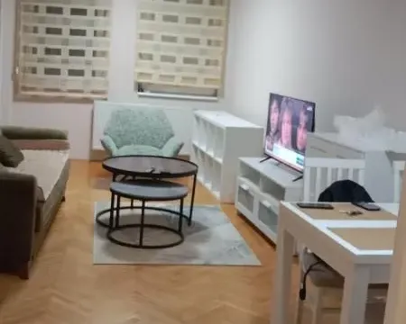 Rent, two bedroom apartment, 53m², Grbavica, Novi Sad Sve Podlokacije - image 7