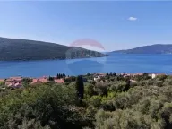 Prodaja, plac, 14000m², Herceg Novi, Crna Gora - image 5