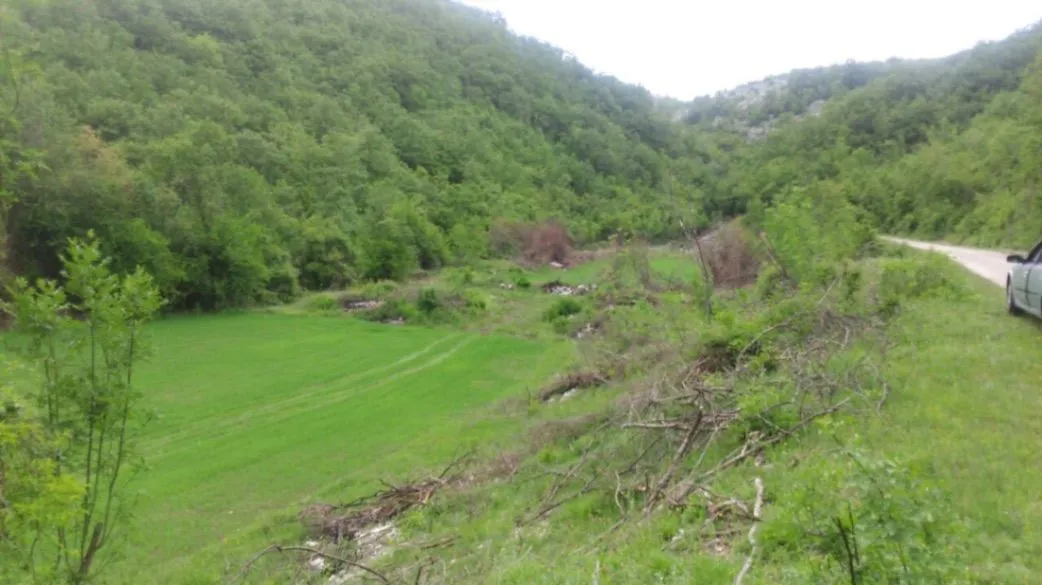 Prodaja, plac, 218000m², Grahovo, Nikšić