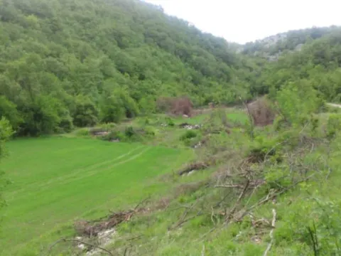 Prodaja, plac, 218000m², Grahovo, Nikšić - image 2