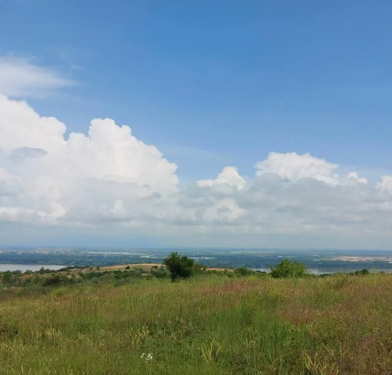 Prodaja, plac, 10000m², Višnjica, Palilula Sve Podlokacije